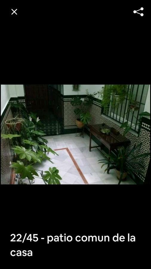 Appartement Oasi Macarena à Séville Extérieur photo